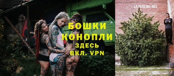2c-b Богданович