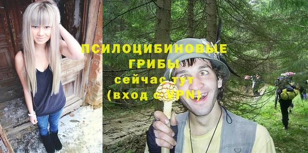 соль ск Богородск