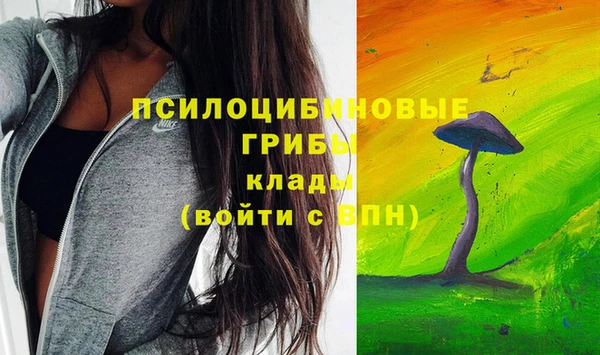 ALPHA-PVP Богородицк